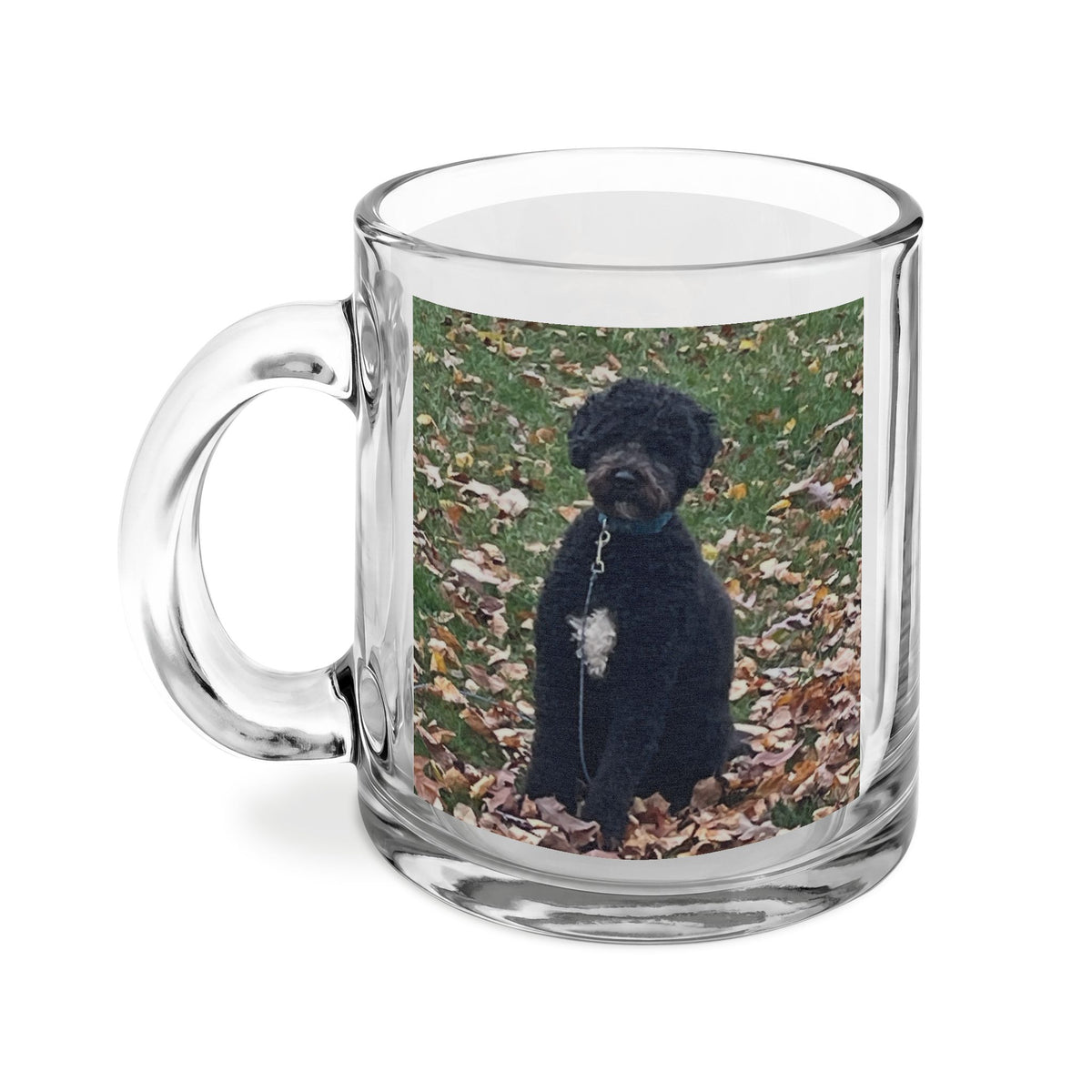 Clear Glass Mug with Handle, 10oz