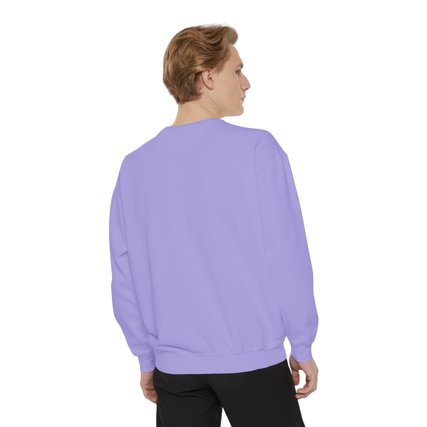 Beach Graphic Sweatshirt — Retro Wave Script Pullover