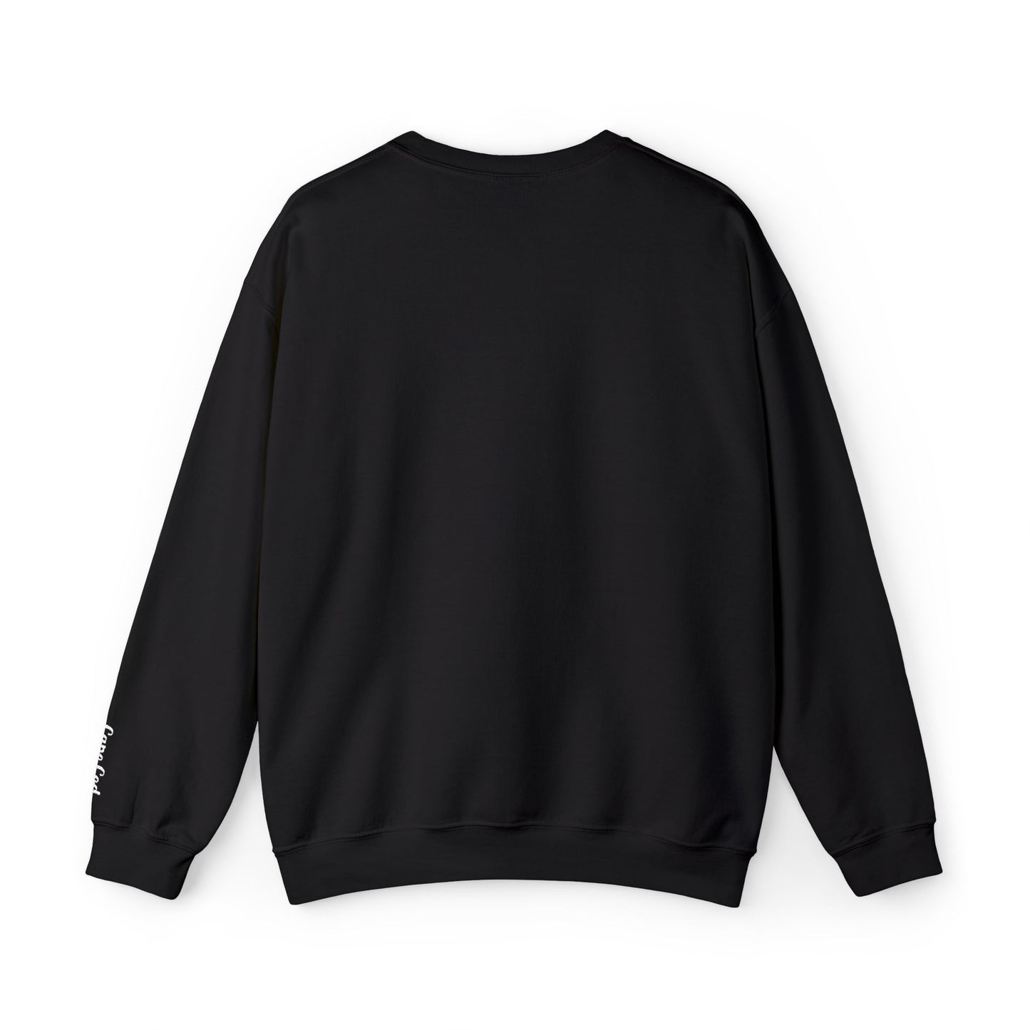 Personalize Embroidered crewneck Sweatshirt — Use your own words on front and left sleeve