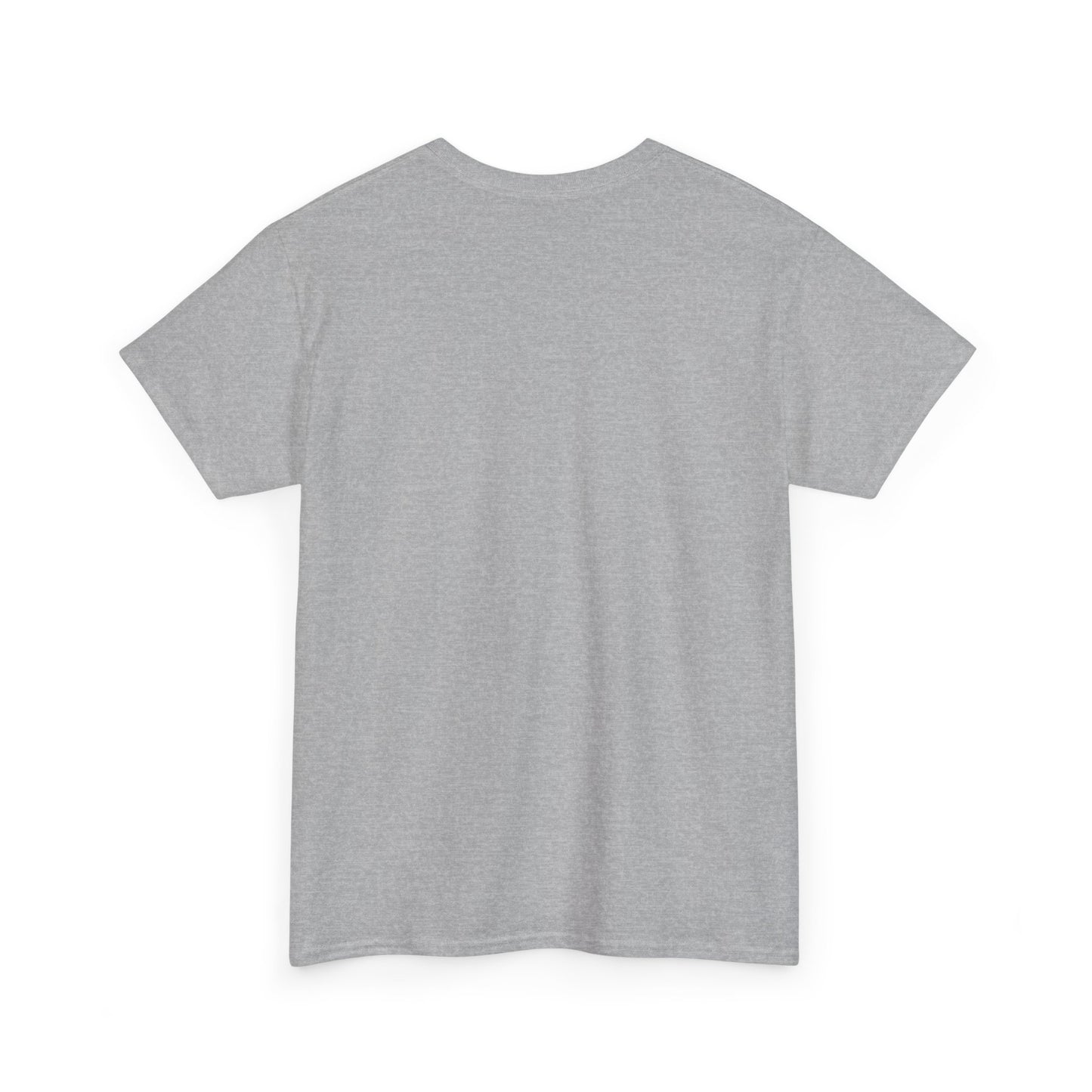 Essentials Embroidered Unisex Heavy Cotton Tee | Daily Ease Curved Text T-Shirt | Minimalist Everyday Shirt