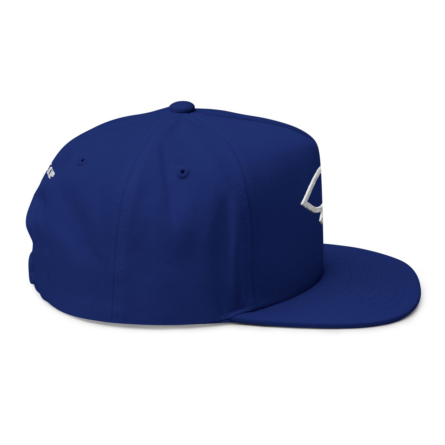 Christian Fish Embroidered Flat Bill Cap — "Look Up" Snapback