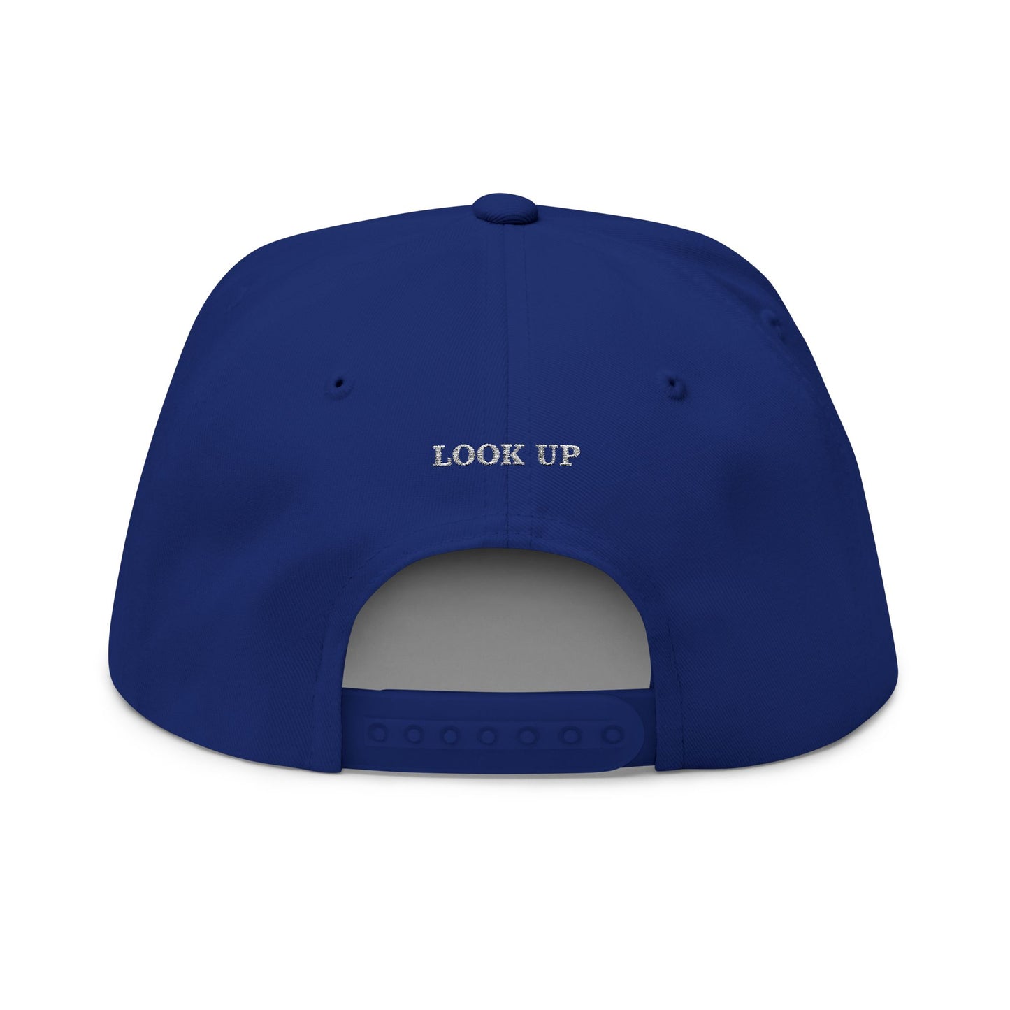 Christian Fish Embroidered Flat Bill Cap — "Look Up" Snapback