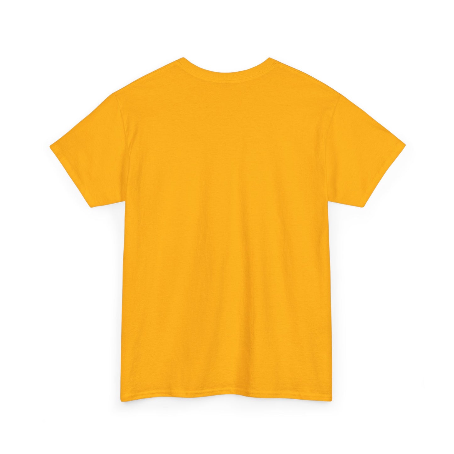 Essentials Embroidered Unisex Heavy Cotton Tee | Daily Ease Curved Text T-Shirt | Minimalist Everyday Shirt