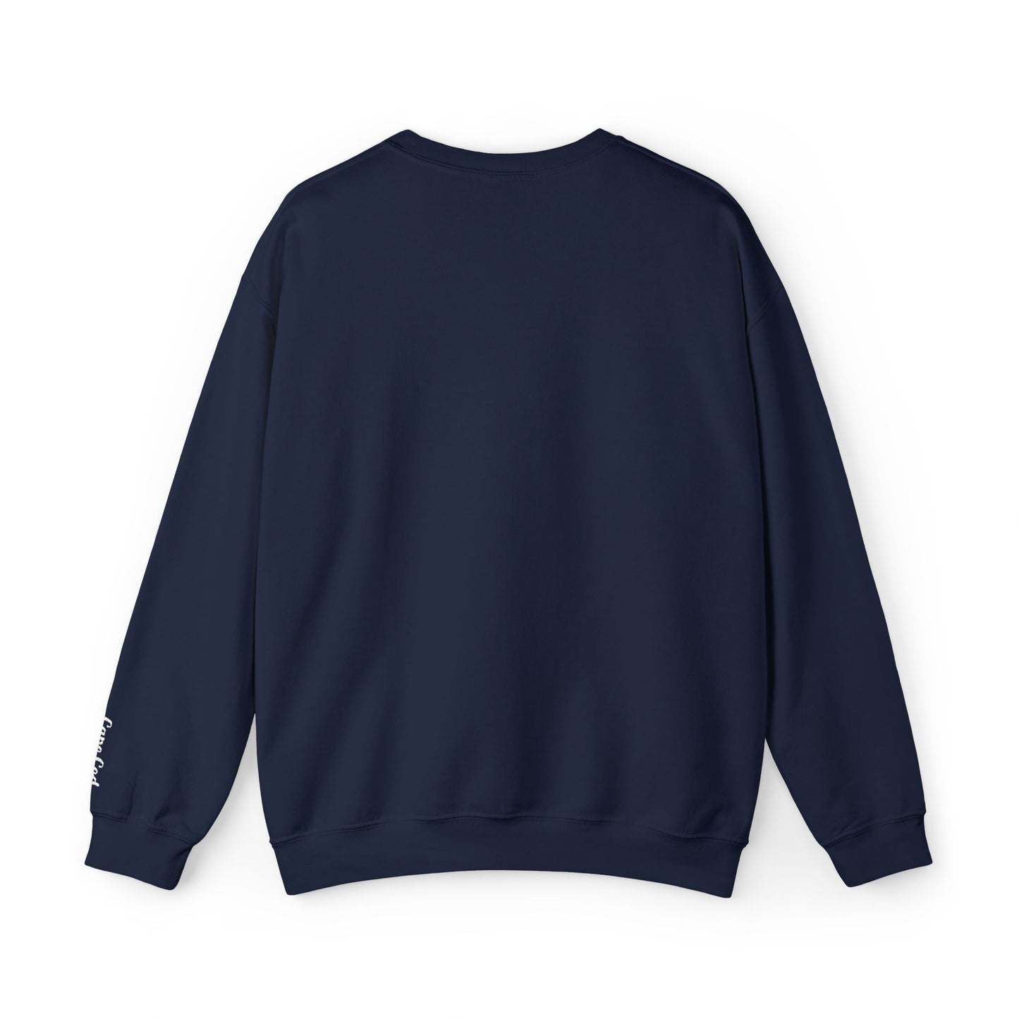 Personalize Embroidered crewneck Sweatshirt — Use your own words on front and left sleeve