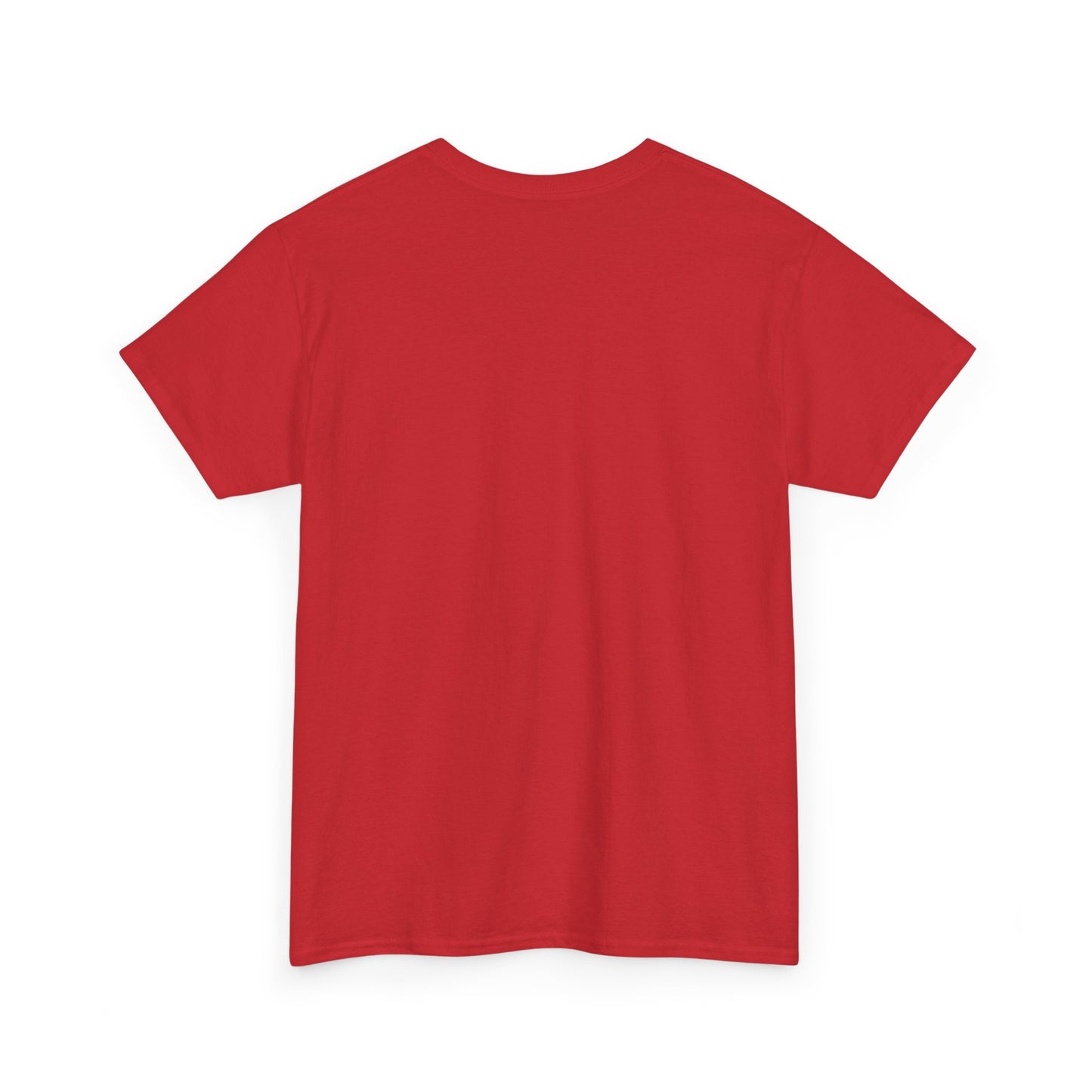Essentials Embroidered Unisex Heavy Cotton Tee | Daily Ease Curved Text T-Shirt | Minimalist Everyday Shirt