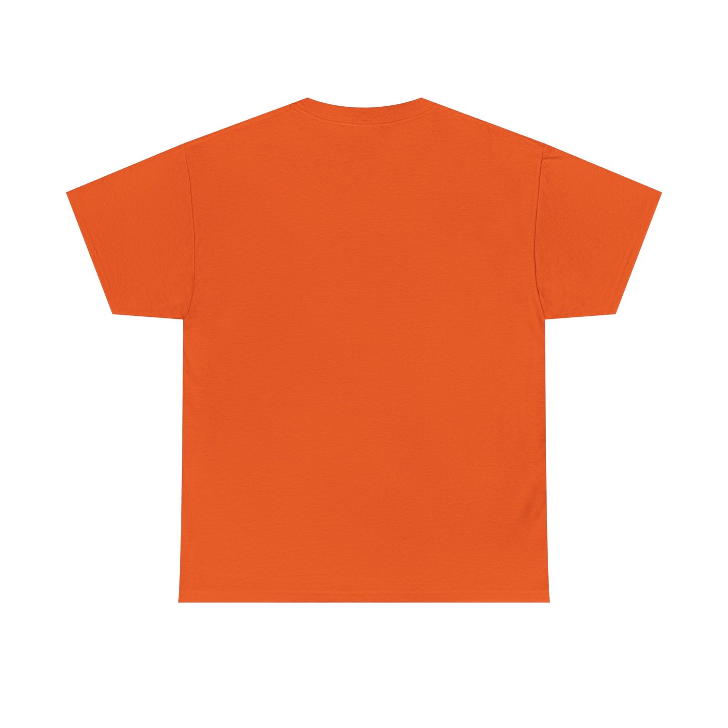 Essentials Embroidered Unisex Heavy Cotton Tee | Daily Ease Curved Text T-Shirt | Minimalist Everyday Shirt