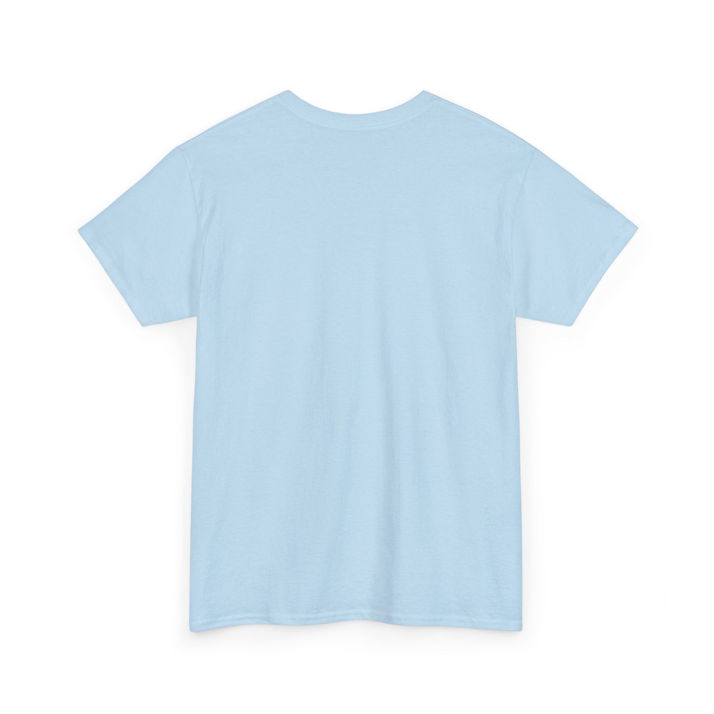 Essentials Embroidered Unisex Heavy Cotton Tee | Daily Ease Curved Text T-Shirt | Minimalist Everyday Shirt