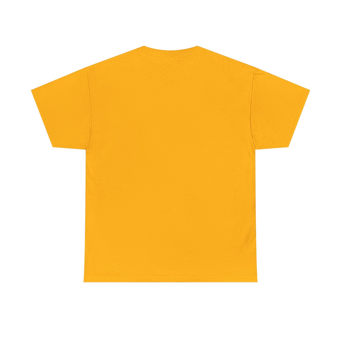 Essentials Embroidered Unisex Heavy Cotton Tee | Daily Ease Curved Text T-Shirt | Minimalist Everyday Shirt