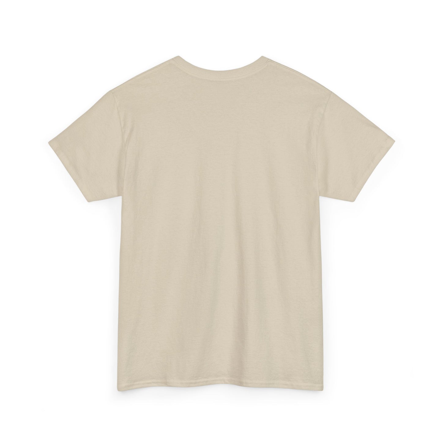 Essentials Embroidered Unisex Heavy Cotton Tee | Daily Ease Curved Text T-Shirt | Minimalist Everyday Shirt