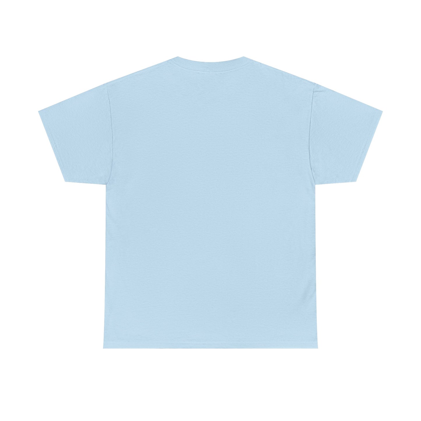 Essentials Embroidered Unisex Heavy Cotton Tee | Daily Ease Curved Text T-Shirt | Minimalist Everyday Shirt